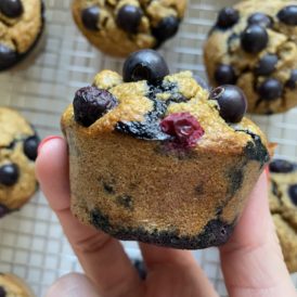 flourless blueberry banana blender muffin side view
