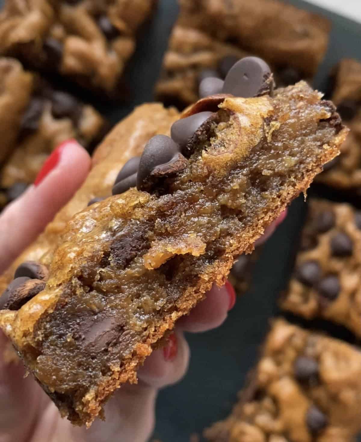 Flourless Peanut Butter Banana Chocolate Chip Bars (One Bowl) - Hungry ...