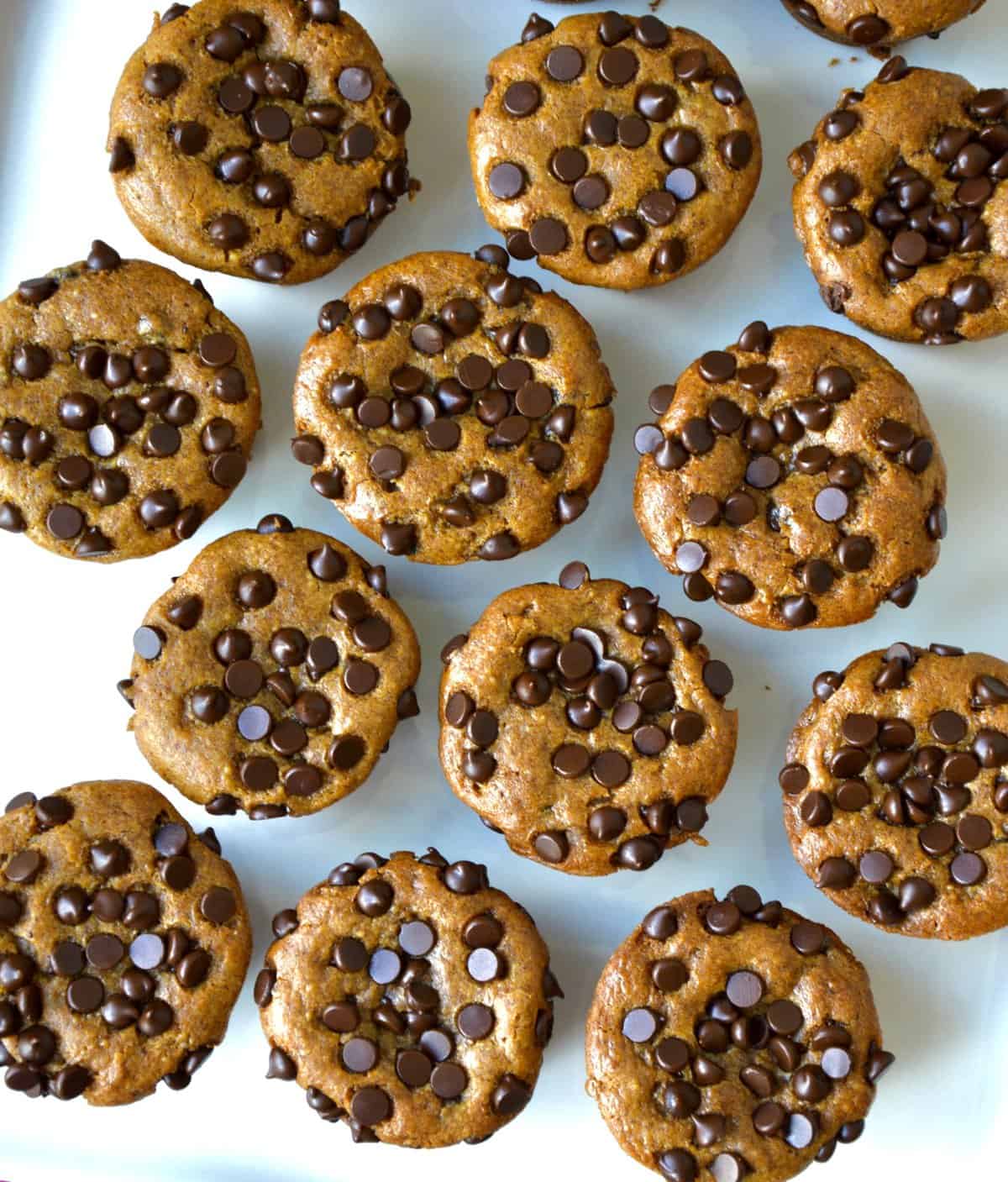 Flourless Pumpkin Chocolate Chip Muffins-image