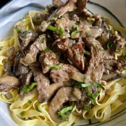 beef stroganoff close up