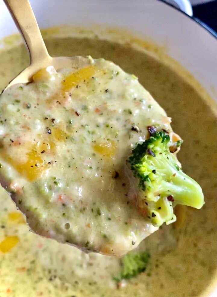 chicken broccoli cheddar soup spoonful