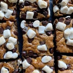 flourless smores bars marshmallows