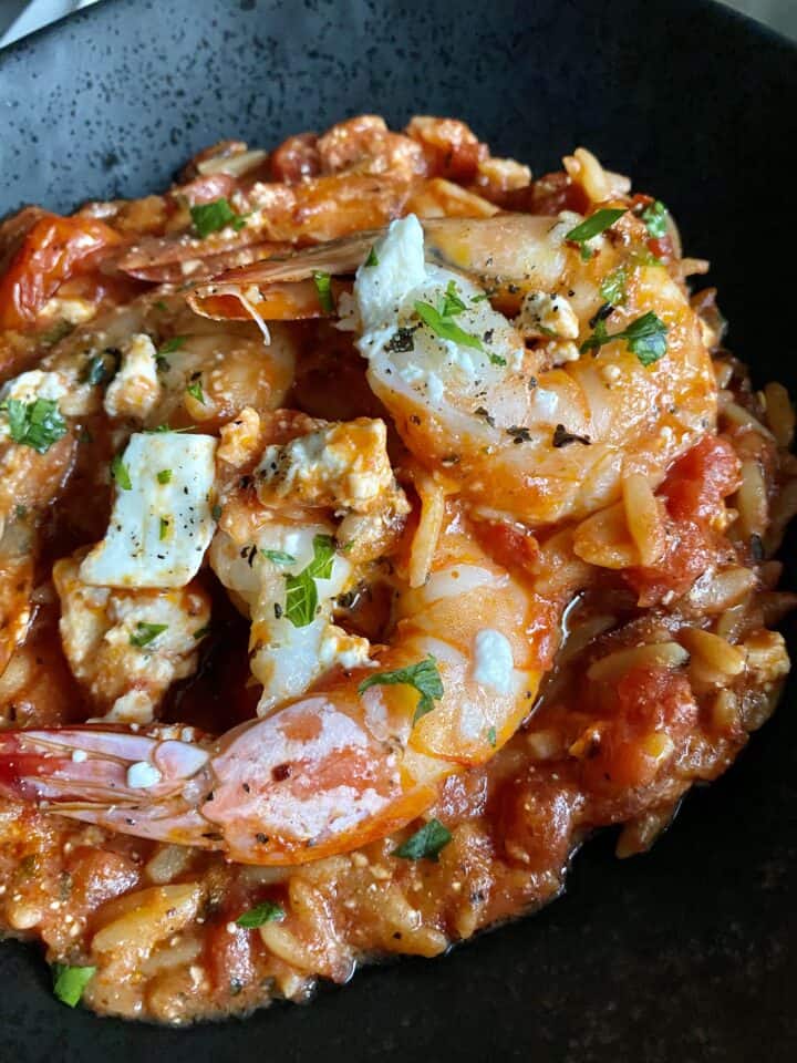 shrimp saganaki orzo close up plated