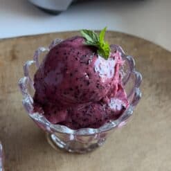 blueberry sorbet