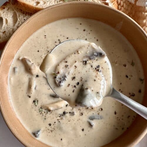 Cream of Mushroom Soup Recipe (Easy Blender Mushroom Soup) - Everyday Easy  Eats