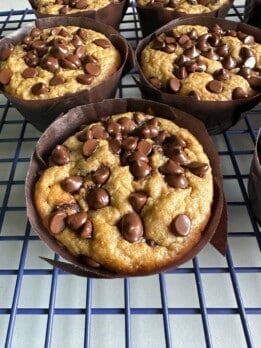 banana chocolate chip greek yogurt muffins