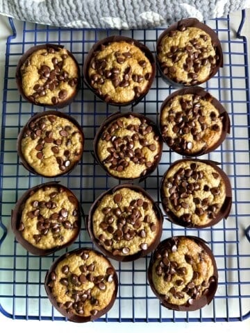 banana chocolate chip greek yogurt muffins