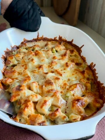 chicken broccoli alfredo bake low carb