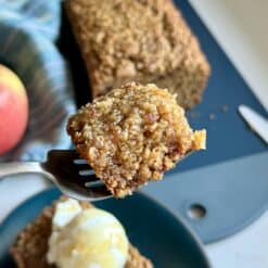 healthy apple cinnamon oatmeal blender bread