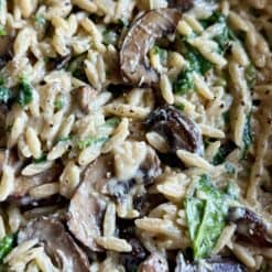 creamy mushroom and spinach orzo