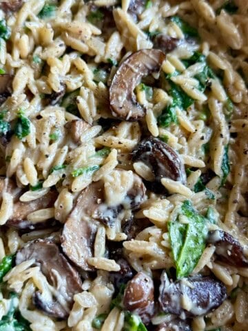creamy mushroom and spinach orzo