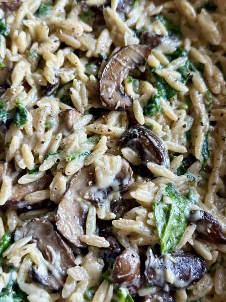 creamy mushroom and spinach orzo