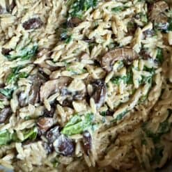 creamy mushroom and spinach orzo