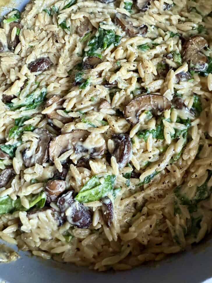 creamy mushroom and spinach orzo