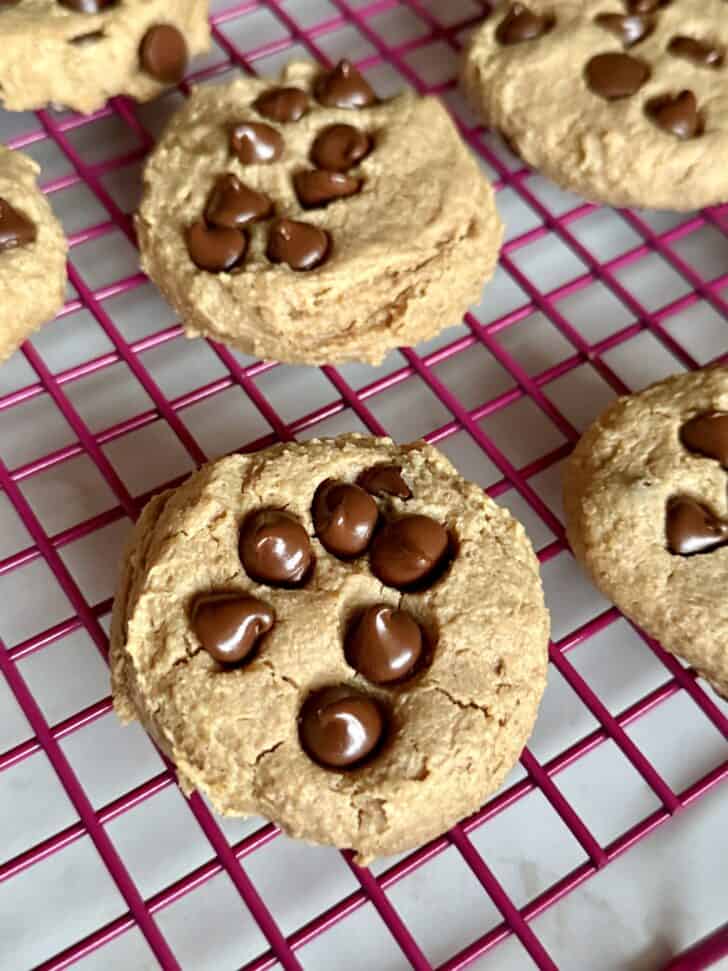 chickpea chocolate chip cookies