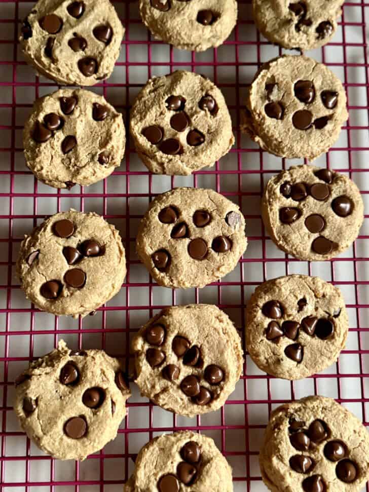 chickpea chocolate chip cookies