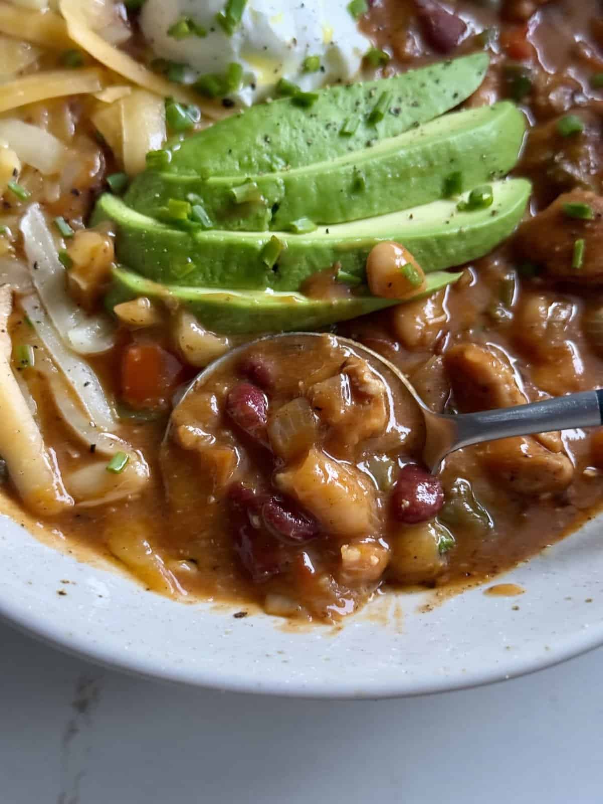 spicy chicken chili stew