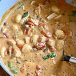 creamy chicken gnocchi soup (one pot)