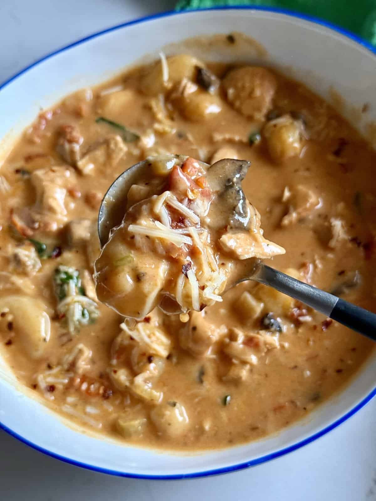 creamy chicken gnocchi soup