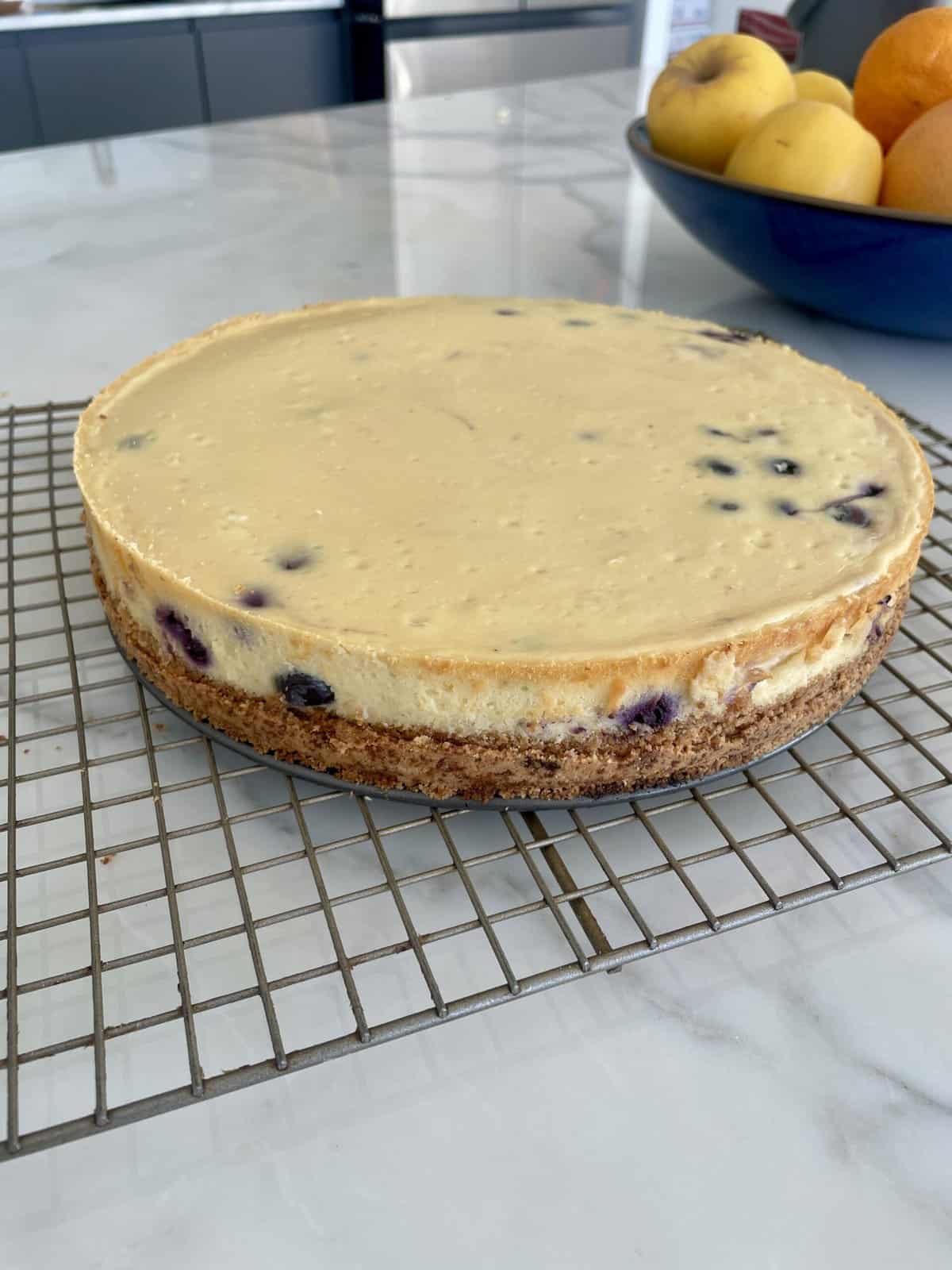 healthier blueberry cheesecake with almond crust