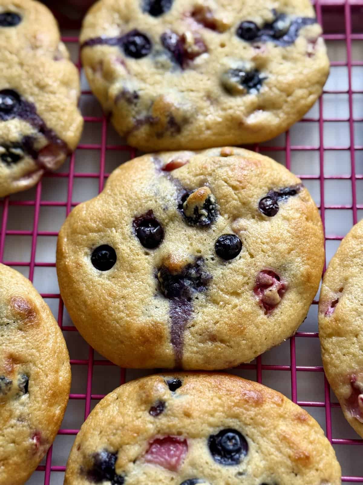 easy healthy blueberry breakfast biscuits