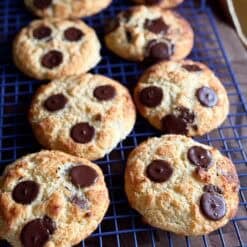 chocolate chip coconut breakfast biscuits