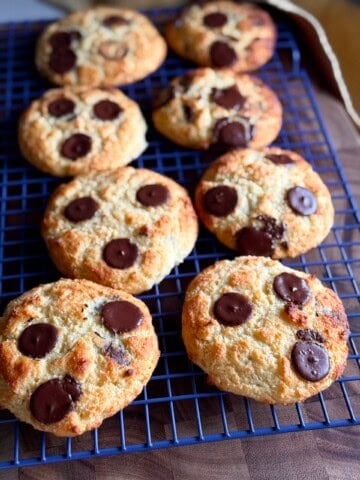 chocolate chip coconut breakfast biscuits