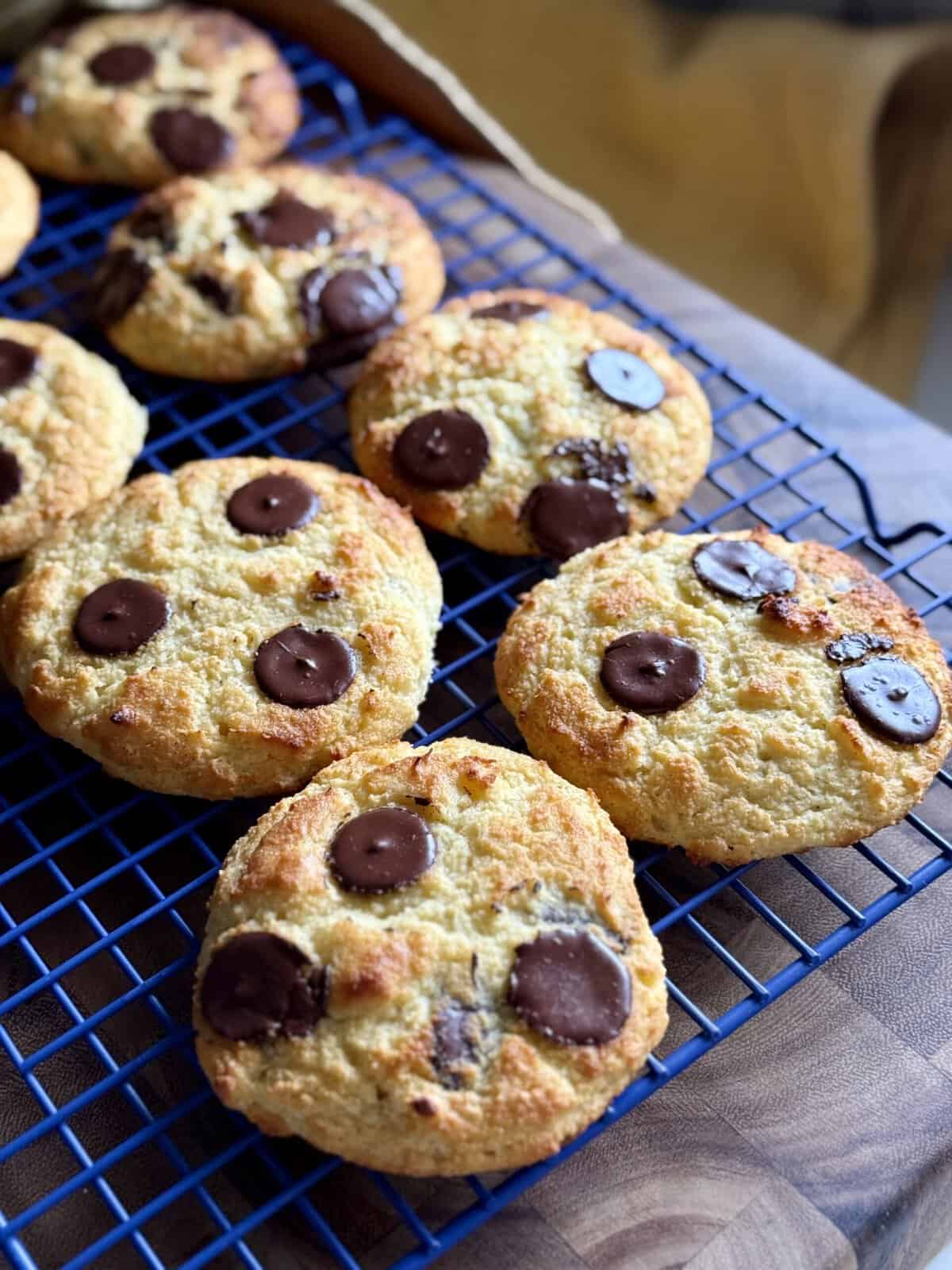 chocolate chip coconut breakfast biscuits