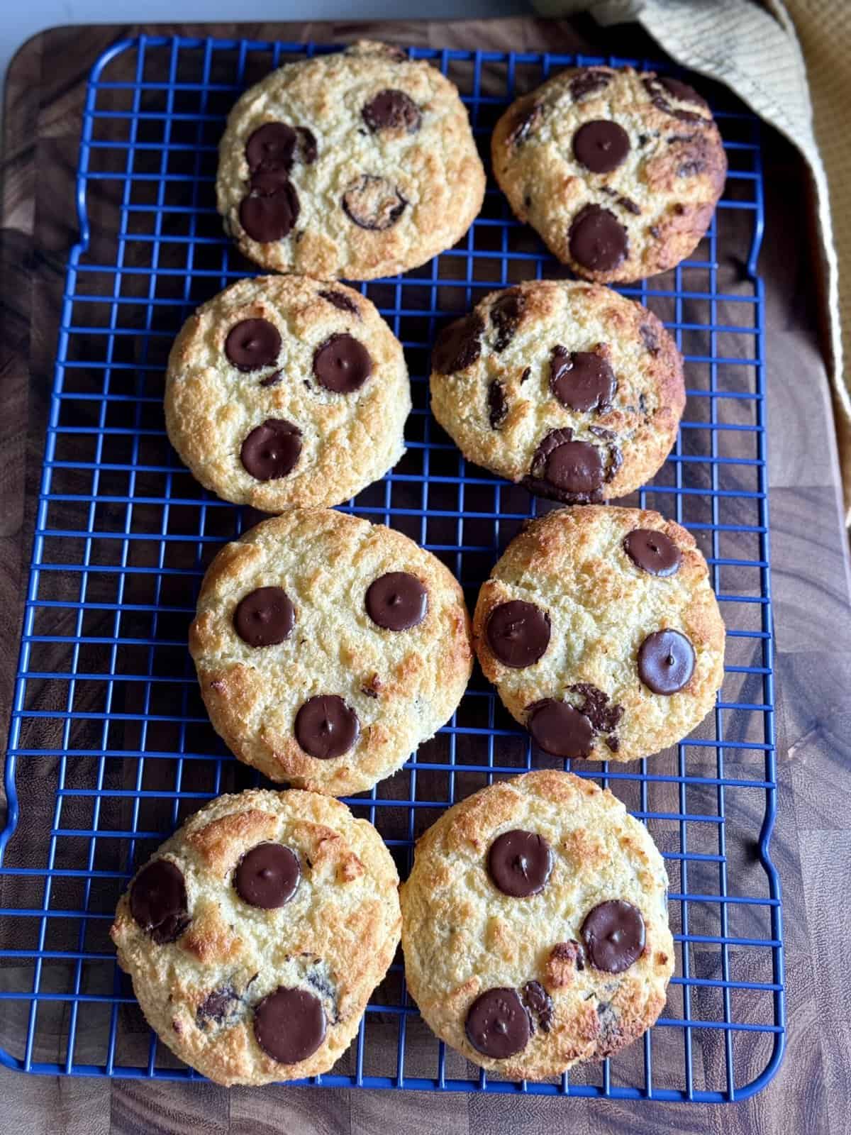 chocolate chip coconut breakfast biscuits
