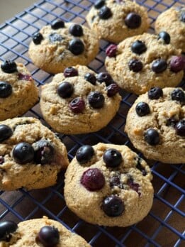 almond flour blueberry cookies