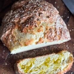 2 ingredient artisan yogurt bread