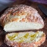 2 ingredient artisan yogurt bread