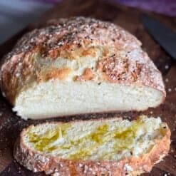 2 ingredient artisan yogurt bread