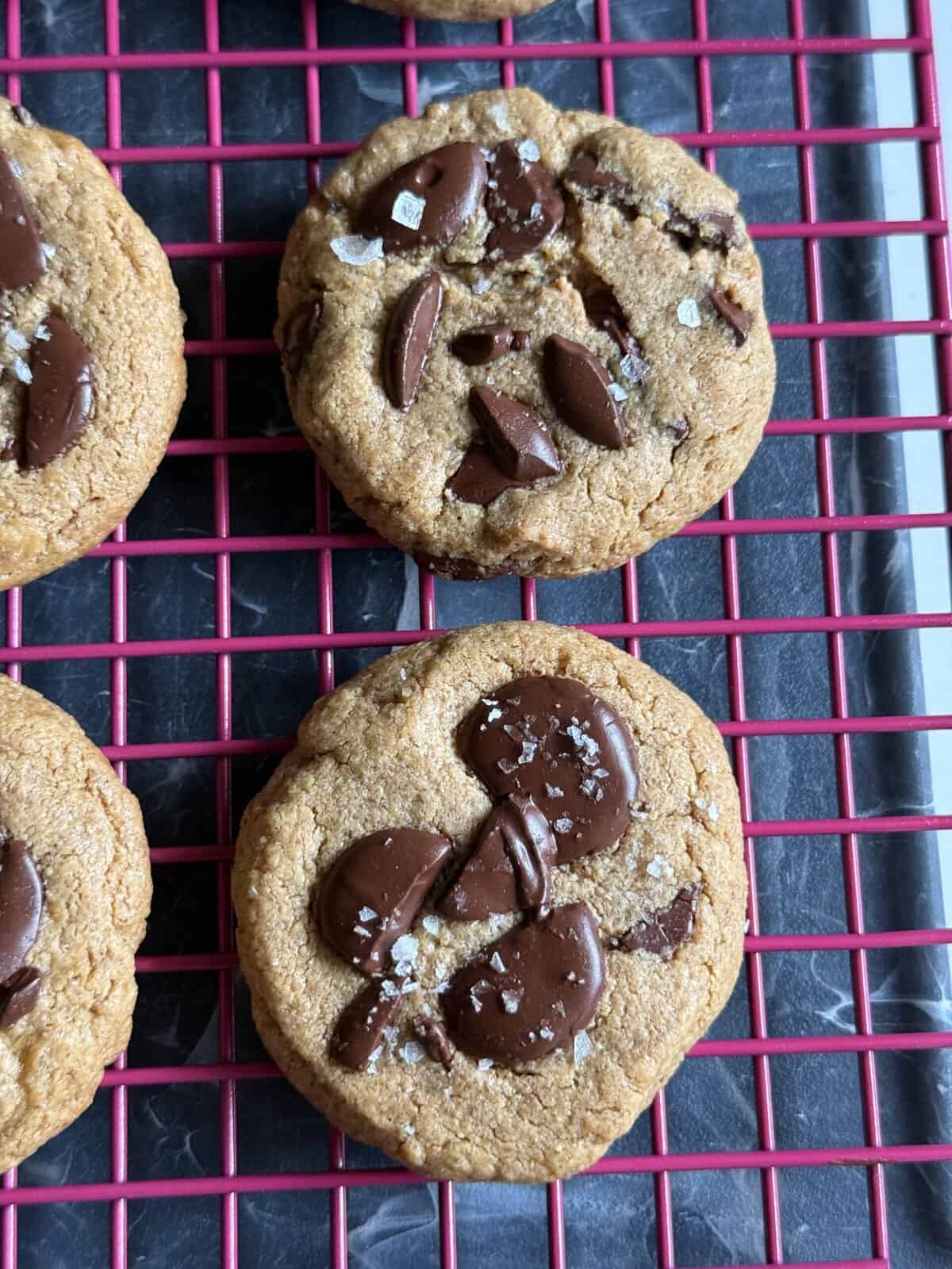 5 ingredient flourless peanut butter chocolate chip cookies