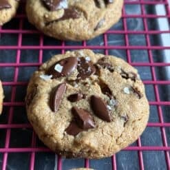 5 ingredient flourless peanut butter chocolate chip cookies