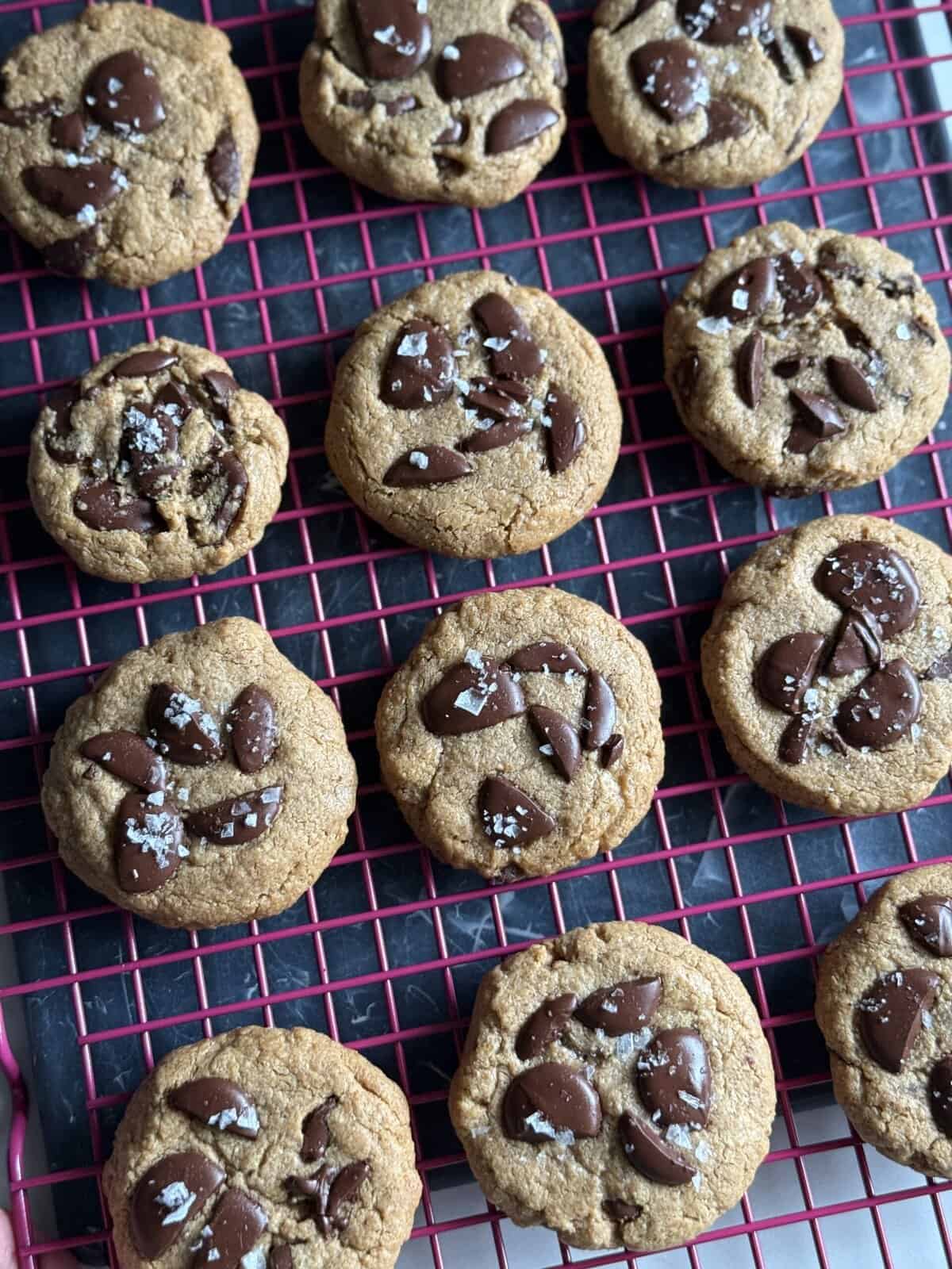 5 ingredient flourless peanut butter chocolate chip cookies