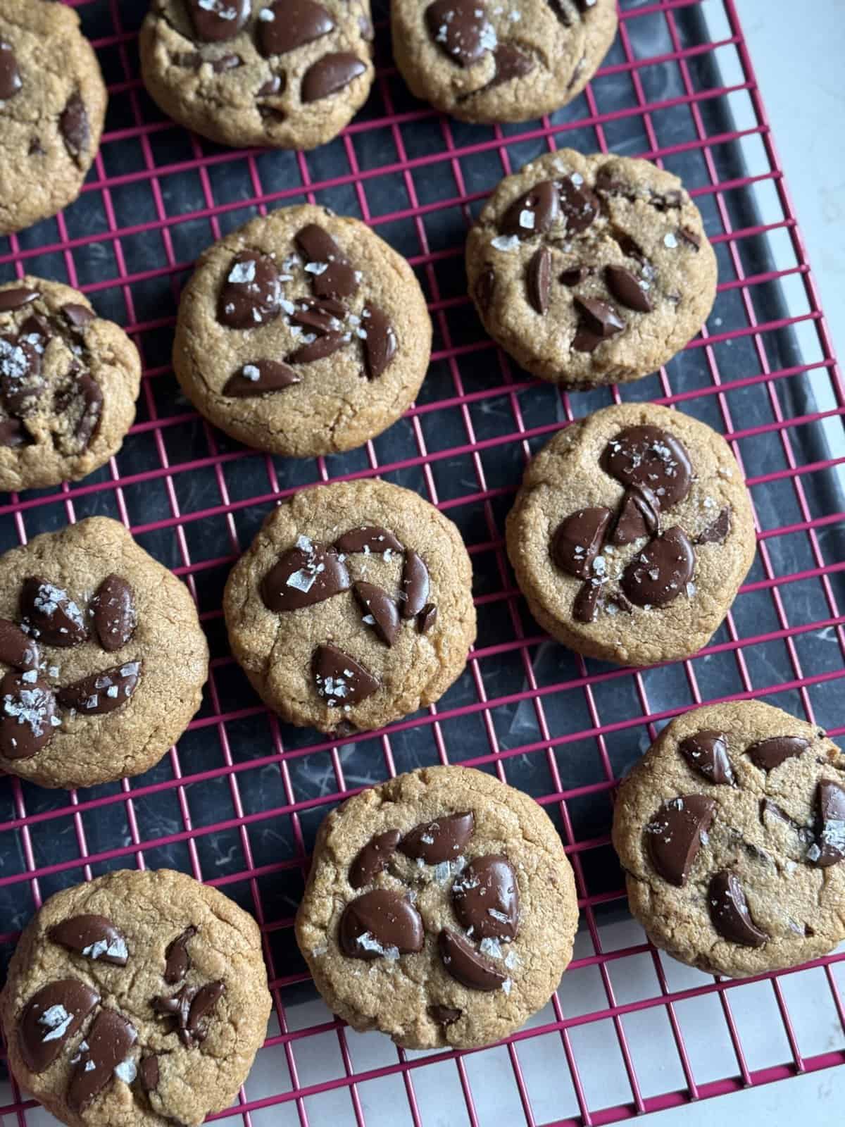 5 ingredient flourless peanut butter chocolate chip cookies