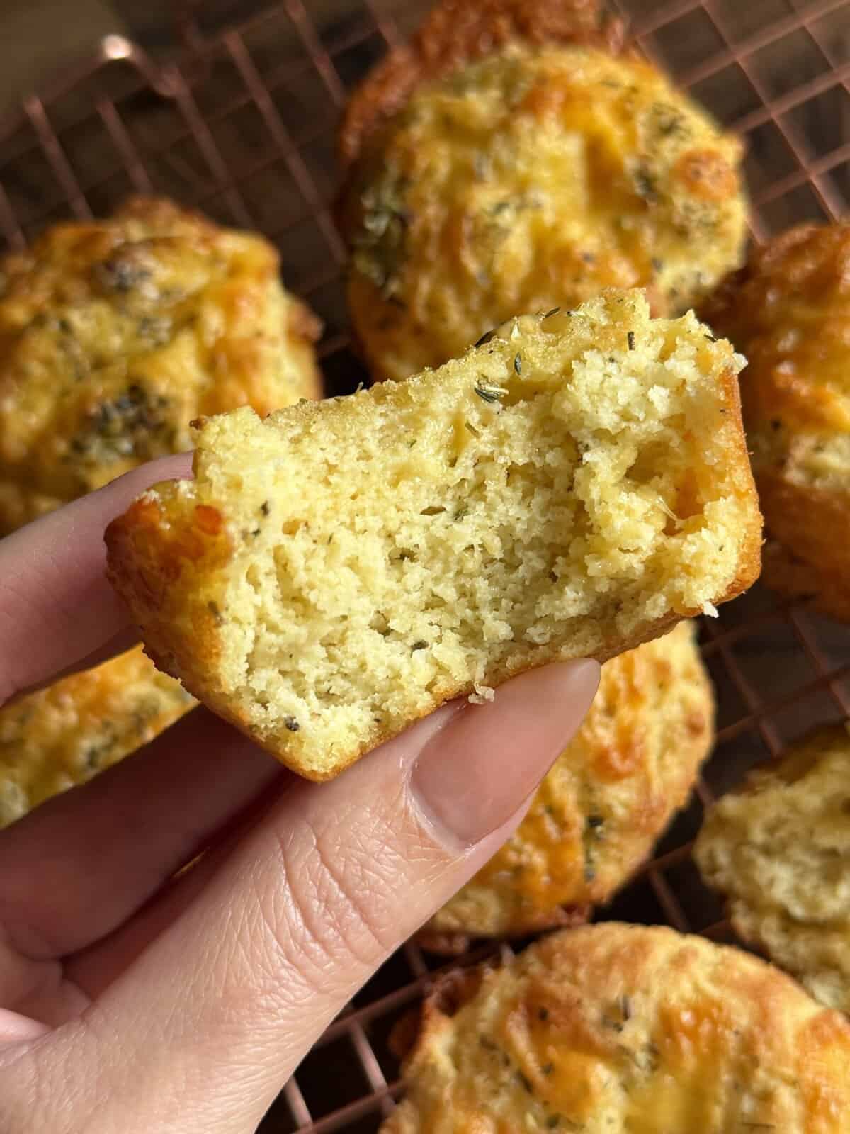 easy almond flour dinner biscuits