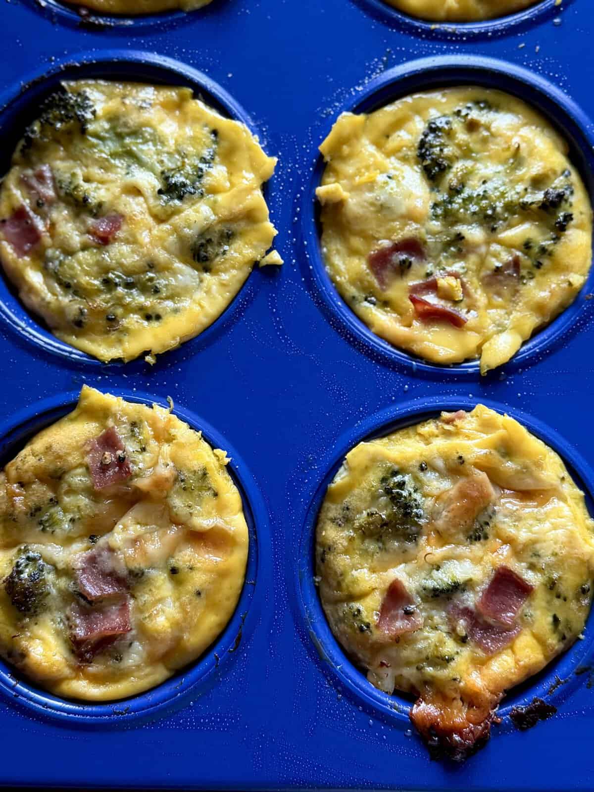easy broccoli ham cottage cheese egg muffins