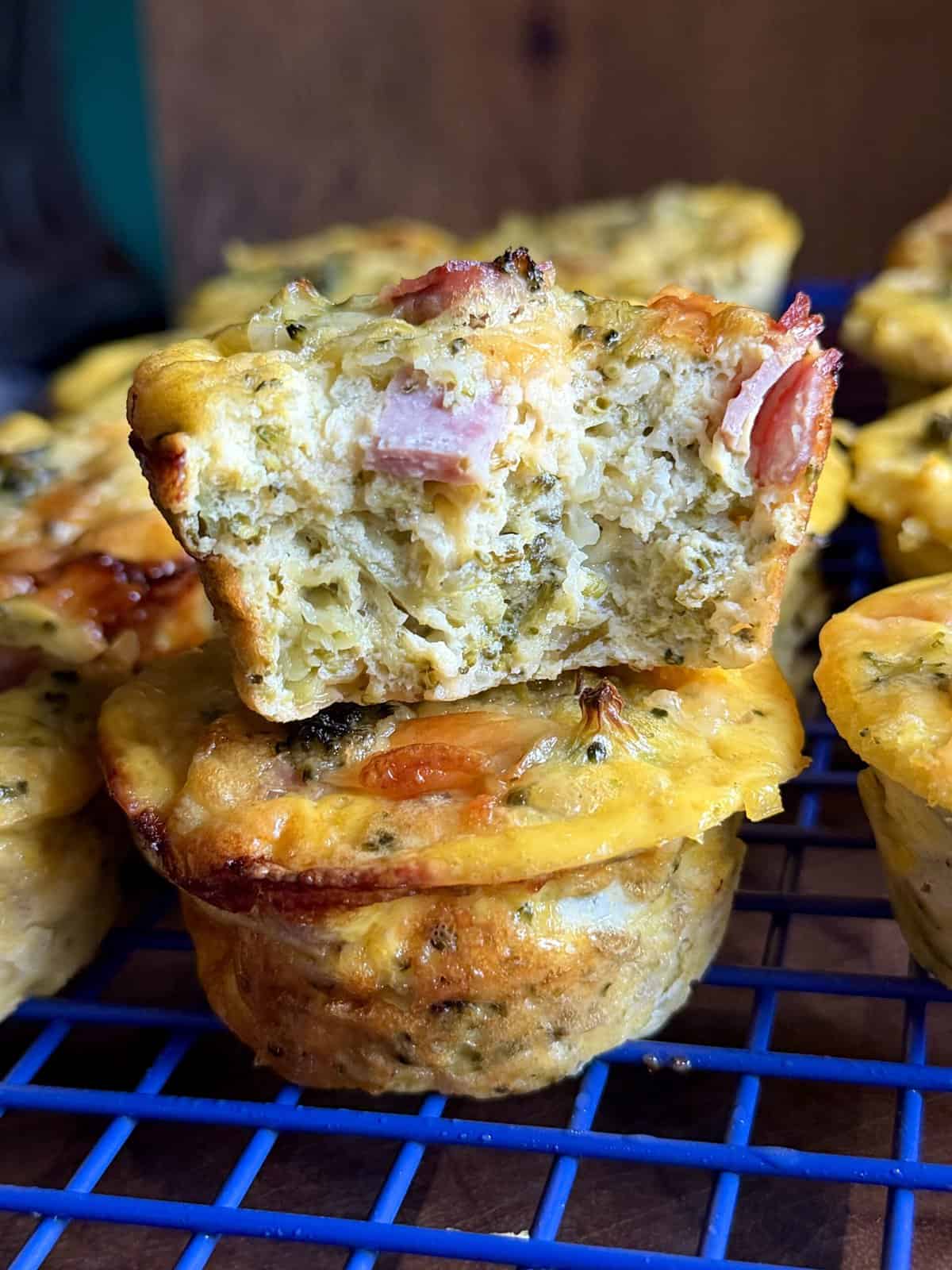 easy broccoli ham cottage cheese egg muffins