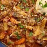 easy beef cabbage soup