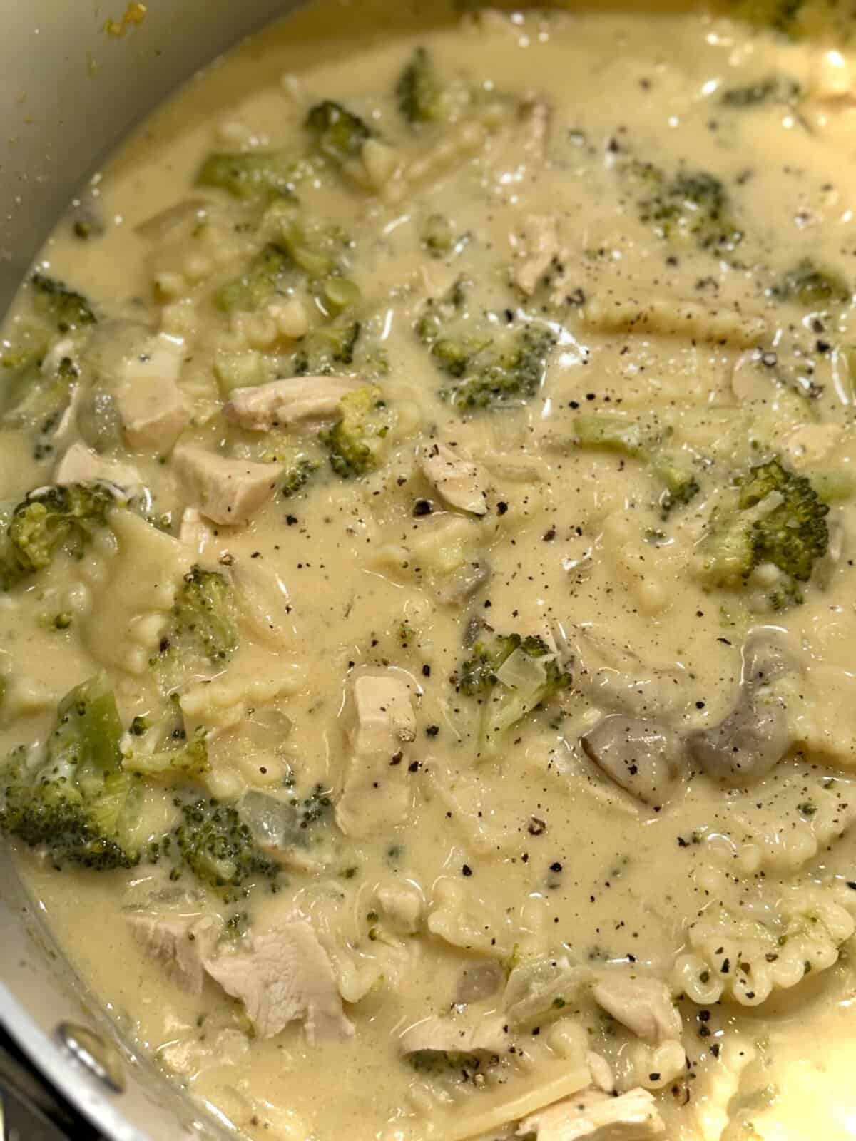 chicken alfredo soup