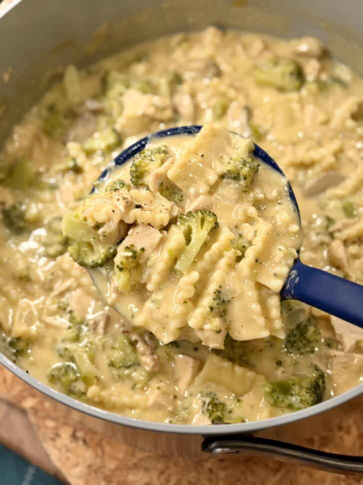chicken alfredo soup