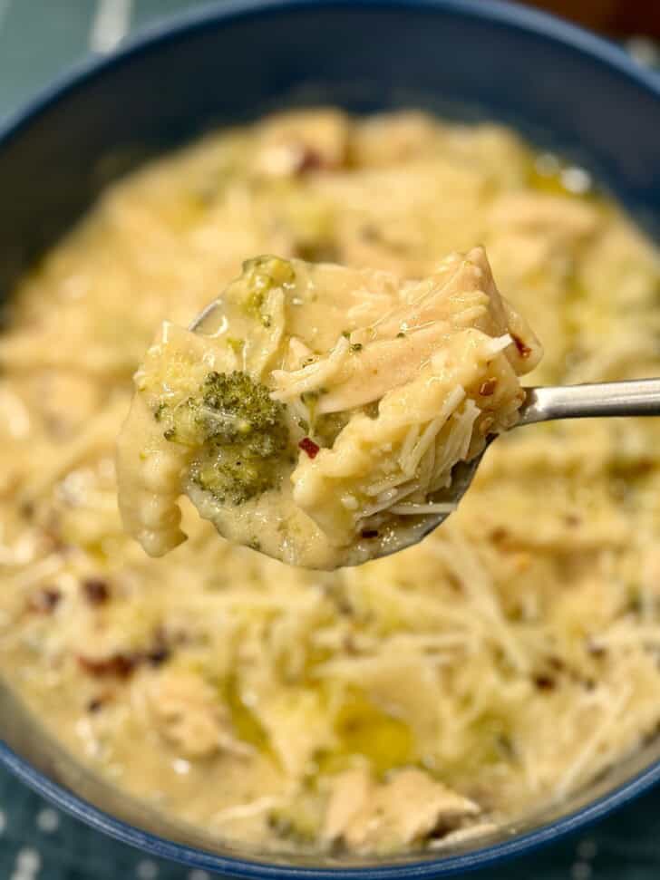 chicken alfredo soup