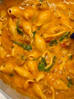 one pot stuffed shells soup