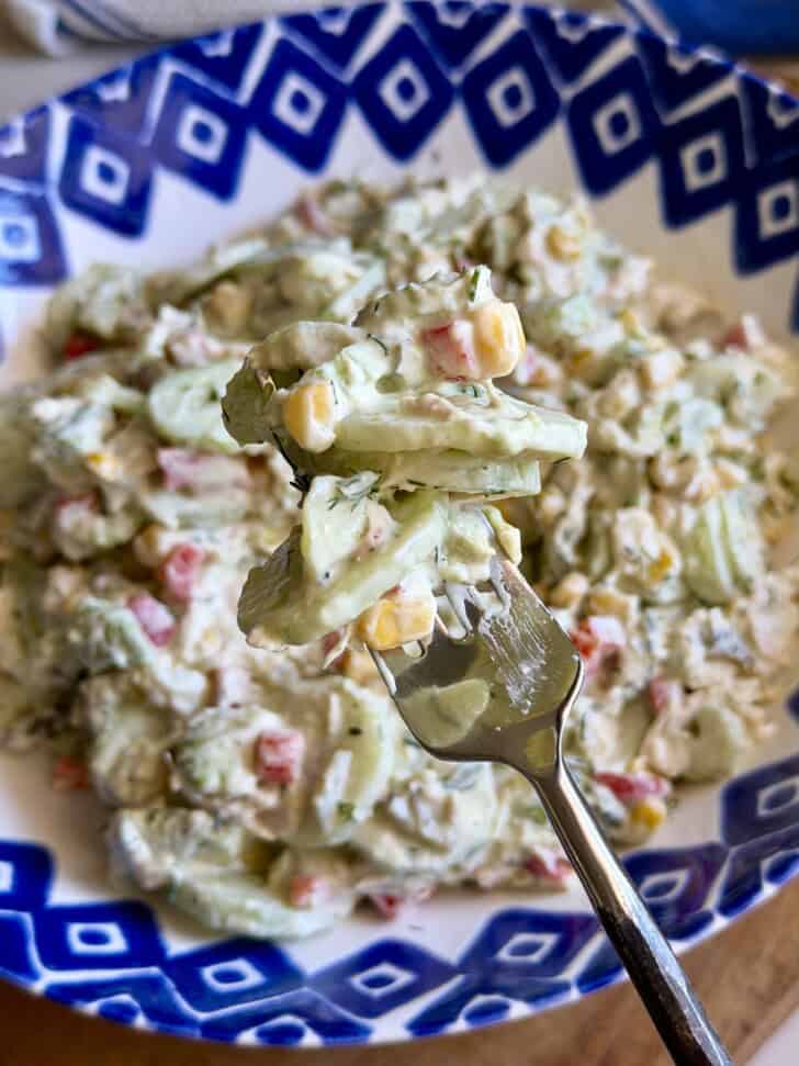 high protein creamy tuna cucumber salad