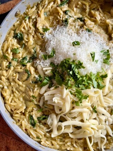 creamy spinach artichoke orzo